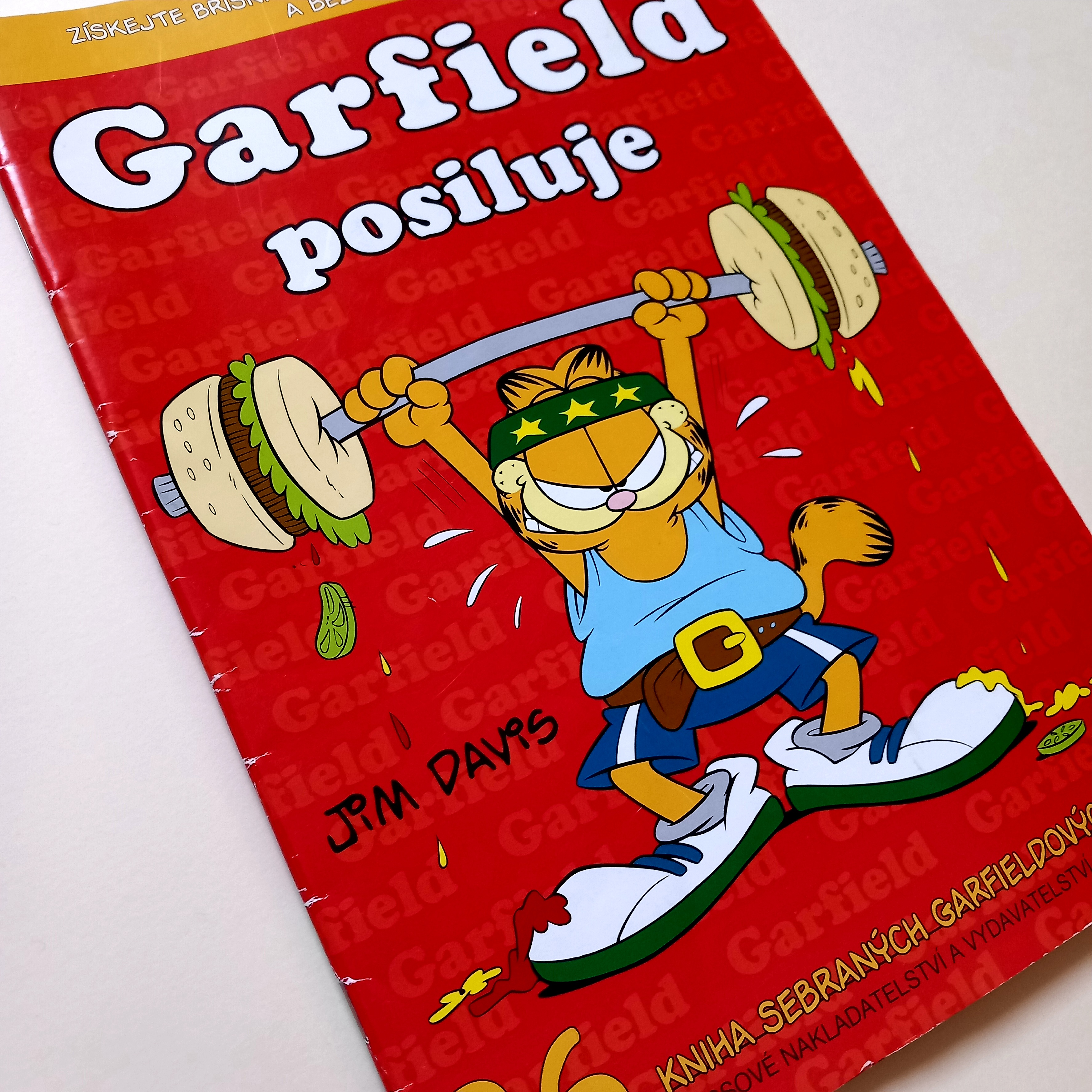 Garfield 36: Posiluje
