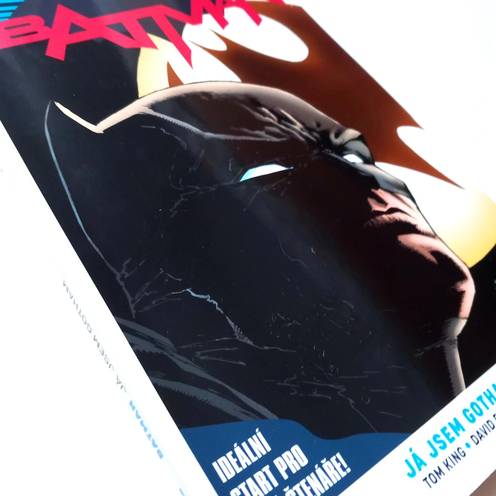 Znovuzrození hrdinů DC: Batman 1: Já jsem Gotham