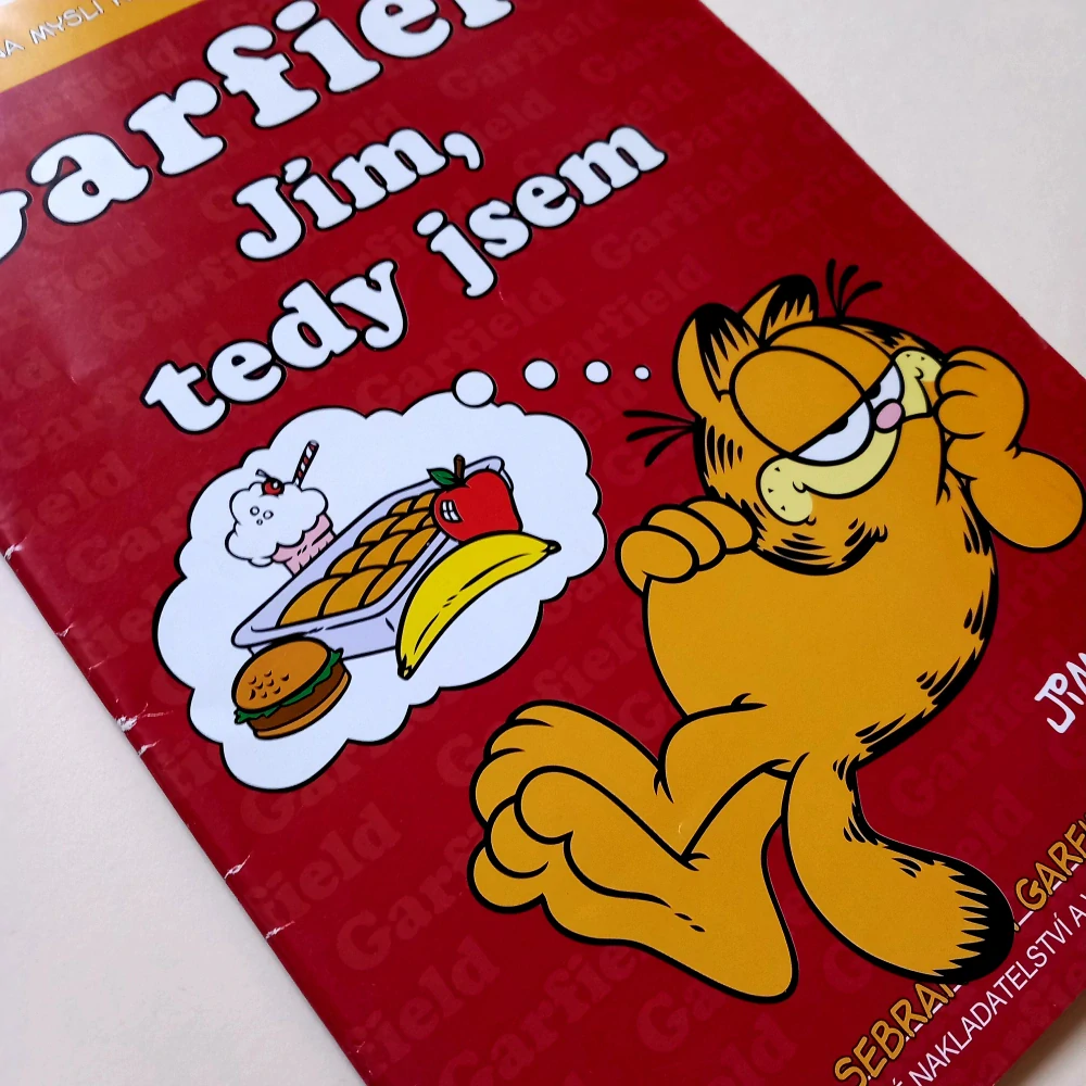 Garfield 12: Jím, tedy jsem