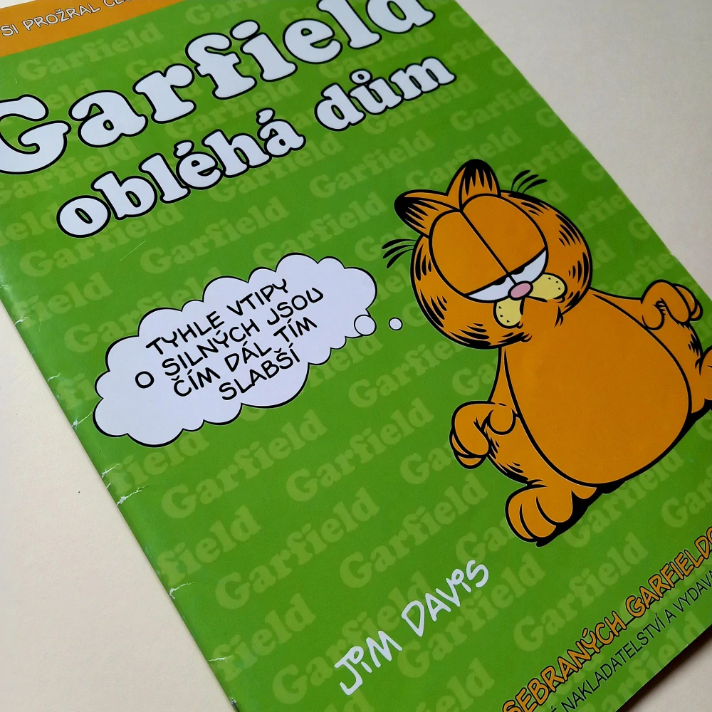 Garfield 06: Obléhá dům