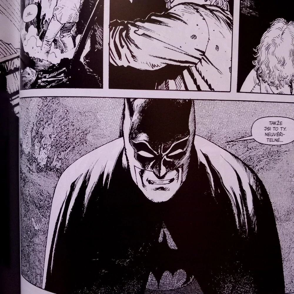 Batman v černé a bílé