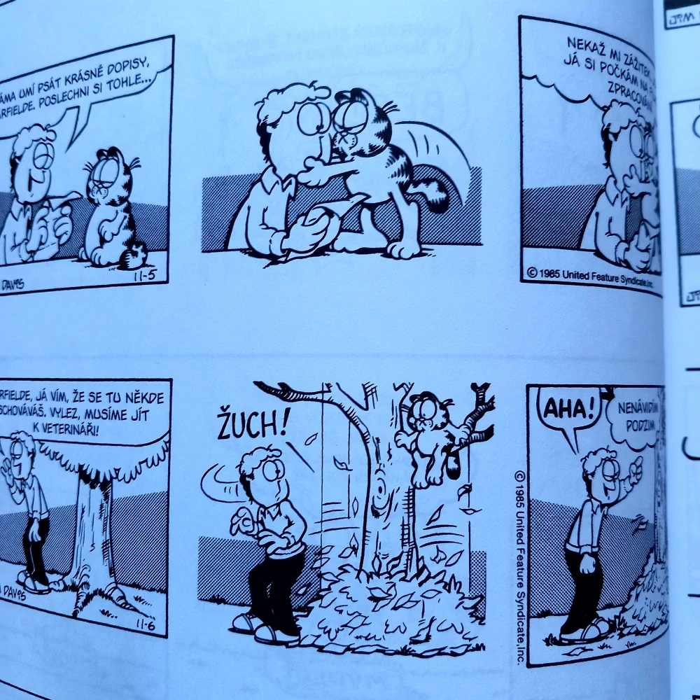 Garfield 12: Jím, tedy jsem