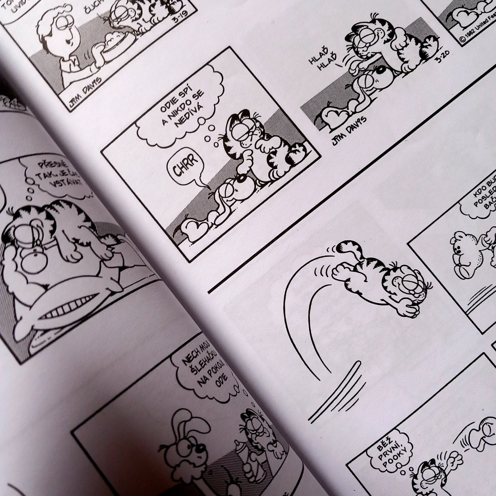 Garfield 06: Obléhá dům