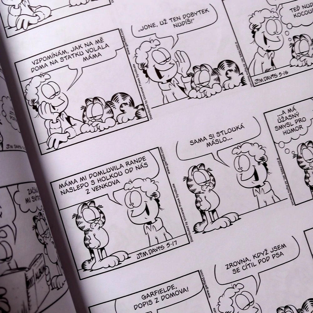 Garfield 40: Starší a širší