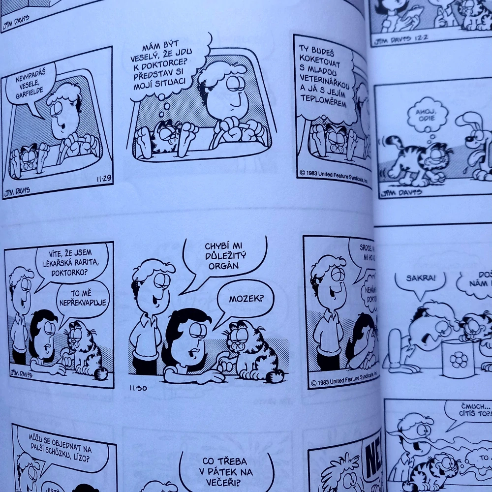 Garfield 09: Není troškař