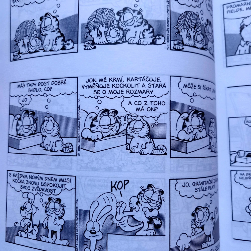 Garfield 15: Zaokrouhluje