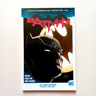 Znovuzrození hrdinů DC: Batman 1: Já jsem Gotham